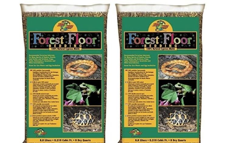 Best Zoo Med Forest Floor Bedding for Reptiles with Reviews in 2023