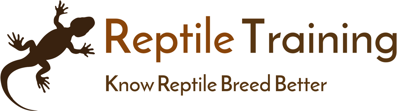 Reptile Training